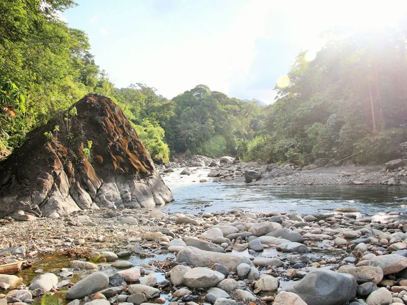 Clear river water flowing between rocky, forested banks in Manu.