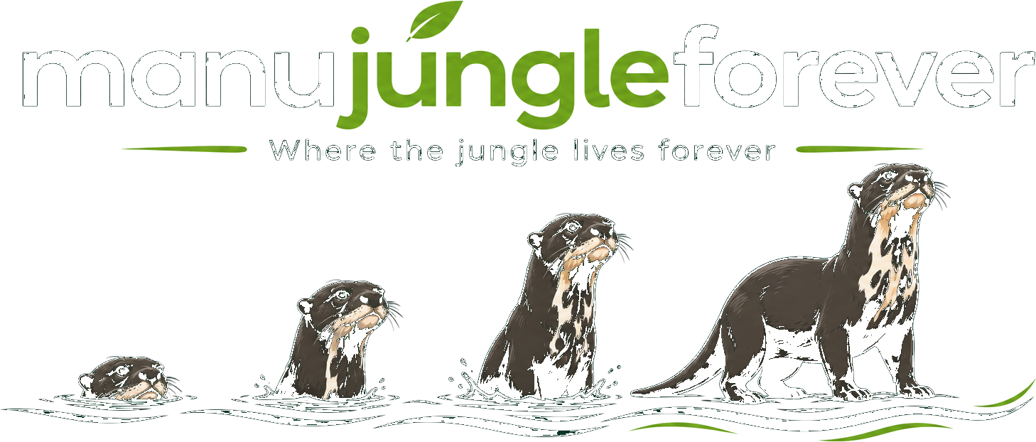 Loading Manu Jungle Forever