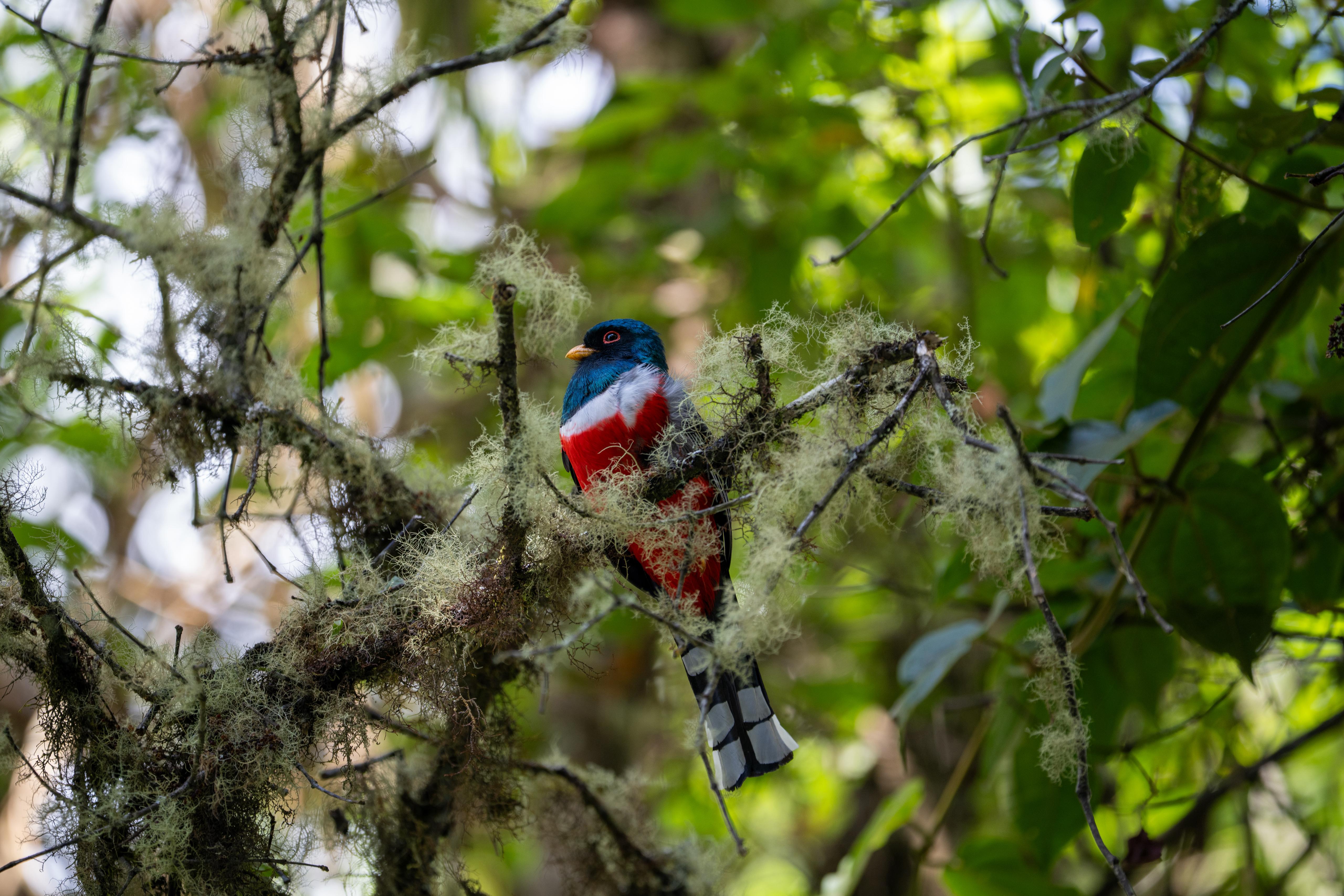 Birding & Photography — 2 / 3