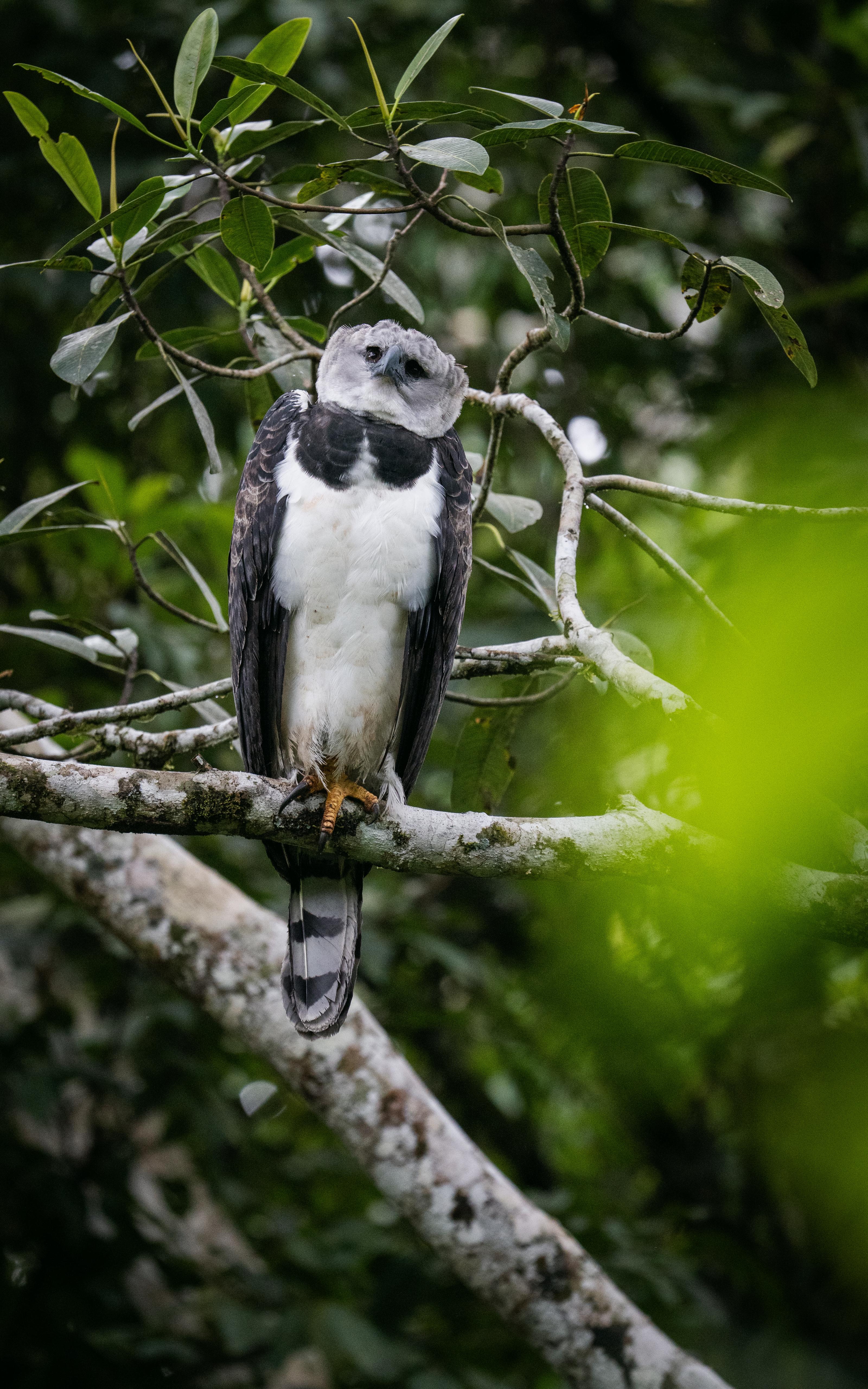 Birding & Photography — 3 / 3